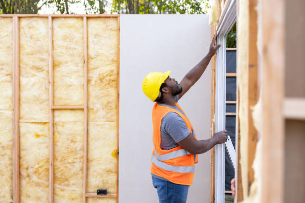 Best Insulation for New Construction  in Debary, FL